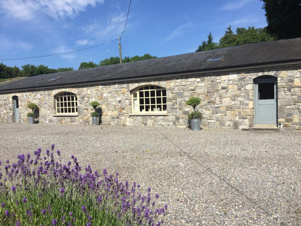Clonalis House - Guesthouse Castlerea Exteriér fotografie